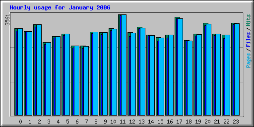 Hourly usage for January 2006