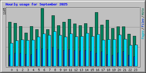 Hourly usage for September 2025