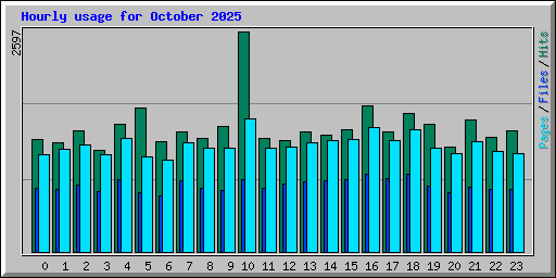 Hourly usage for October 2025