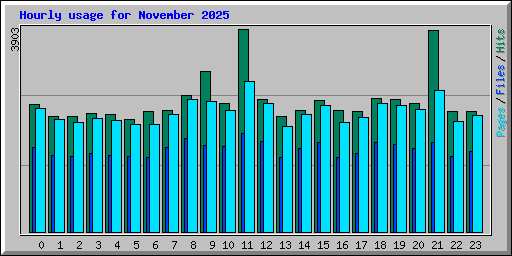 Hourly usage for November 2025