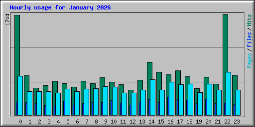Hourly usage for January 2026