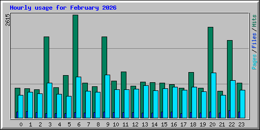 Hourly usage for February 2026